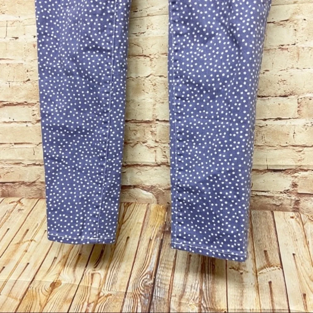 J Crew Womens Toothpick Jeans Size 27 Skinny Stretch Polka Dot White Blue
